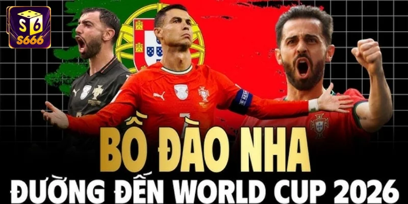 Đội hình Bồ Đào Nha Worldcup 2026: Kỷ nguyên "Hậu Ronaldo" bùng nổ 