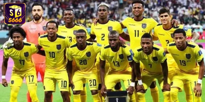 Dàn cầu thủ Ecuador ăn mừng chiến thắng tại vòng loại