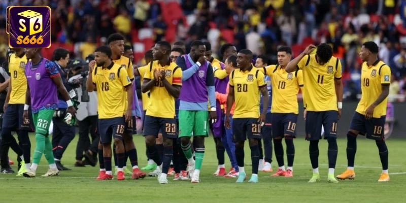 Đội hình Ecuador Worldcup 2026: "Cơn lốc" Nam Mỹ trỗi dậy 