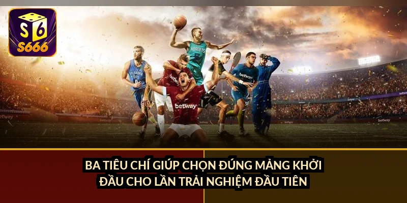 Ba tiêu chí giúp chọn đúng mảng khởi đầu cho lần trải nghiệm đầu tiên